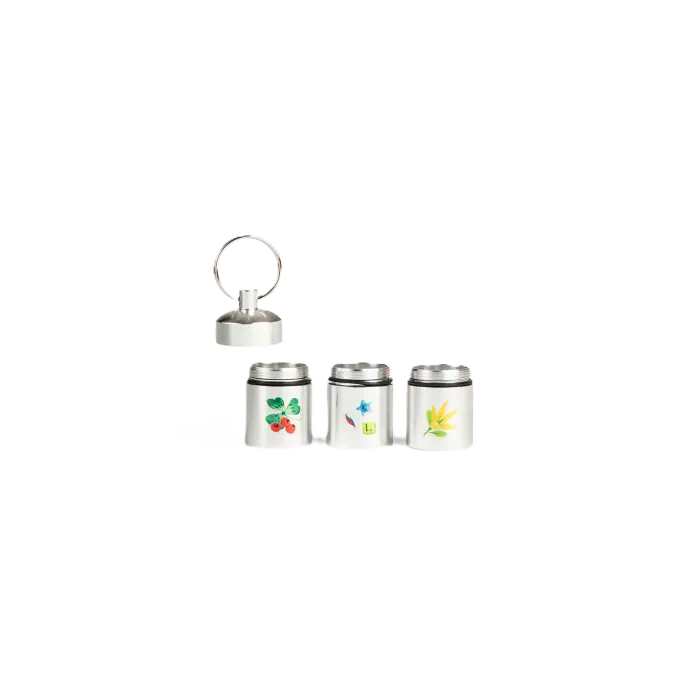 capsule à tresor.webp