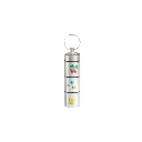 capsule a tresors.webp