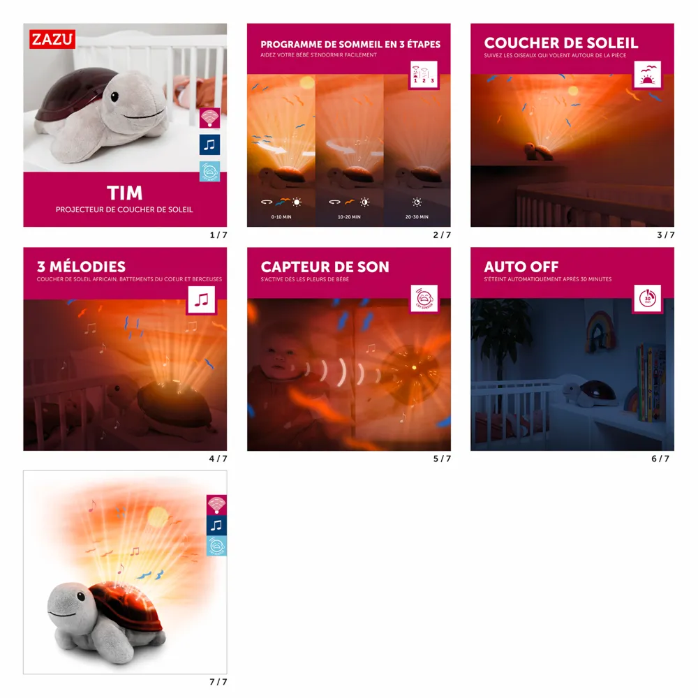 tortue musicale.webp