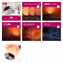 tortue musicale.webp