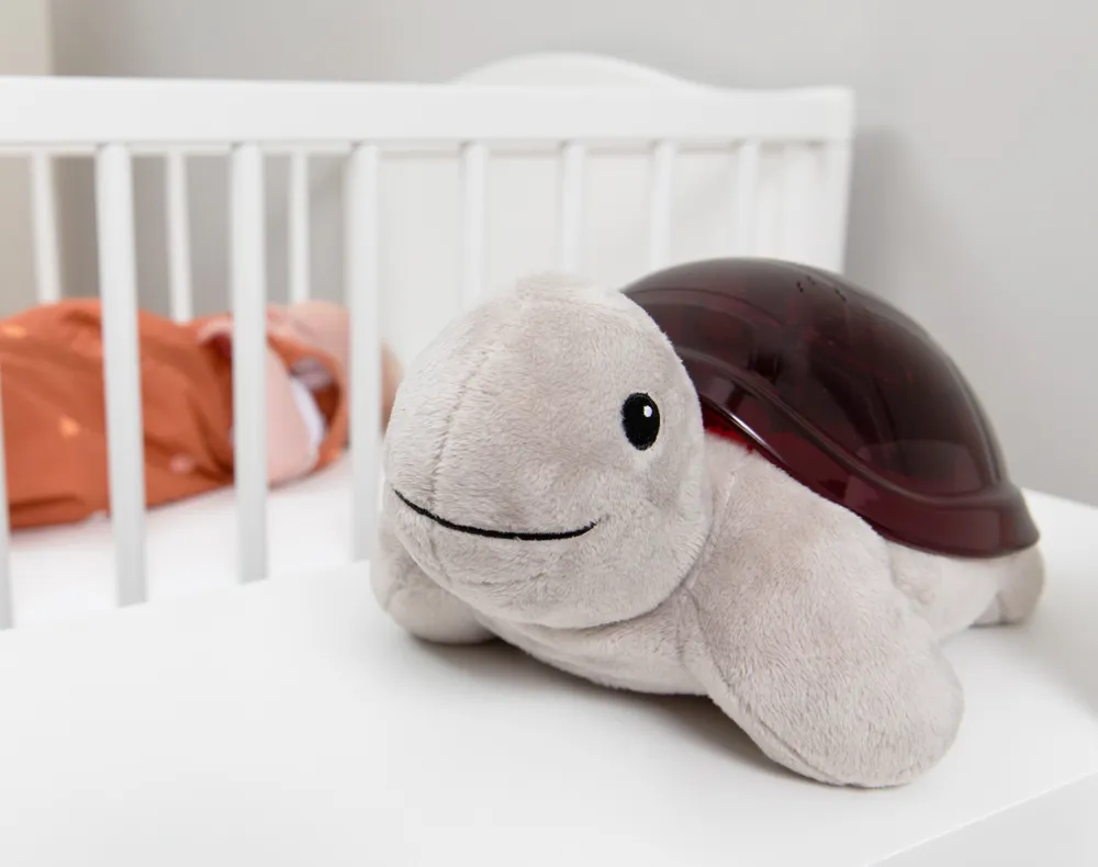 tortue musicale2.webp