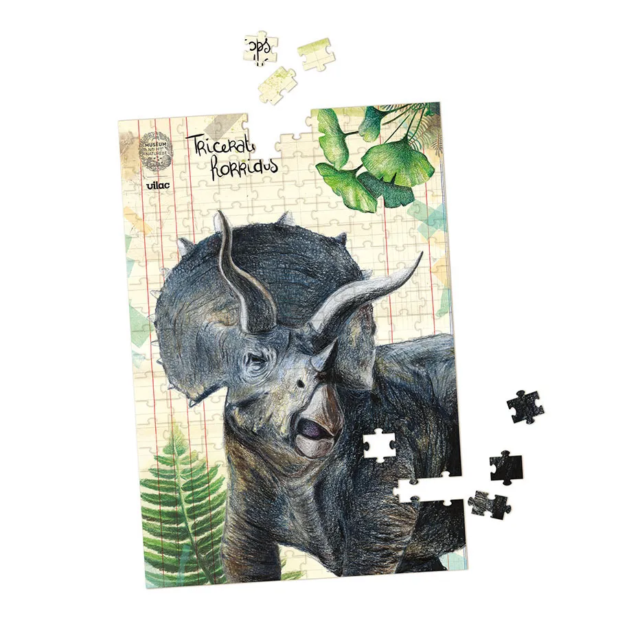 puzzle dinosaure 2.webp