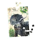 puzzle dinosaure 2.webp