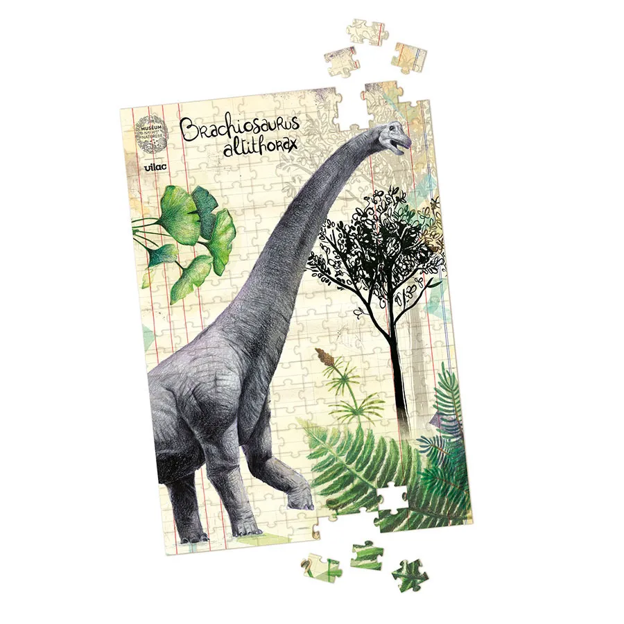 puzzle dinosaure1.webp