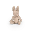 Bebe_nine_la_lapine_les_minouchkas_3.webp