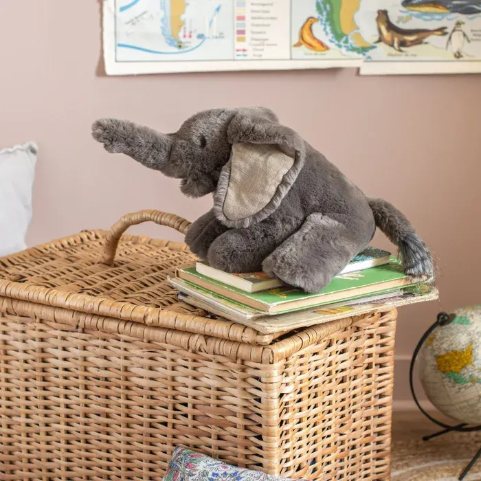 petit elephant .webp