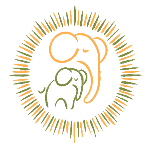 Chou & Pipoun - Kids Concept Store